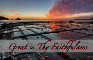 faithfulness-new