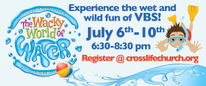 VBS BannerWeb