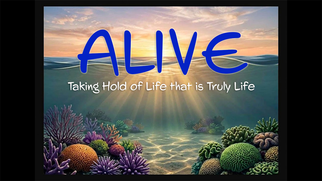 1 Timothy 6 – Truly Life